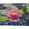 Water Lily by Toula Mavridou-Messer 20" x 16" Canvas Wall Art